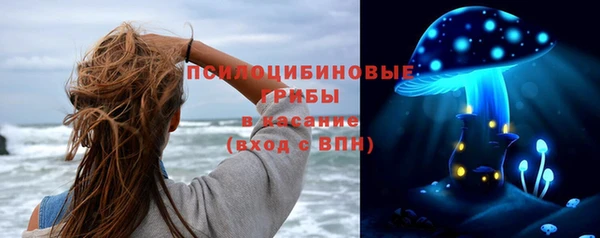 дмт Сясьстрой